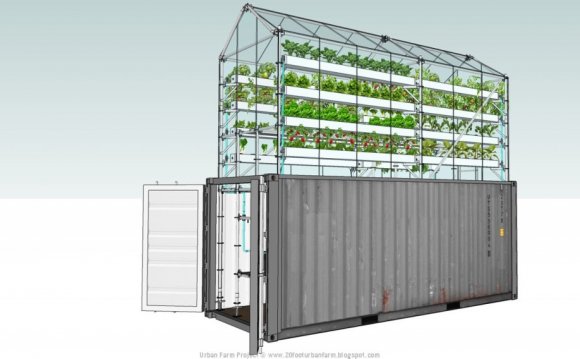 Shipping Container greenhouse